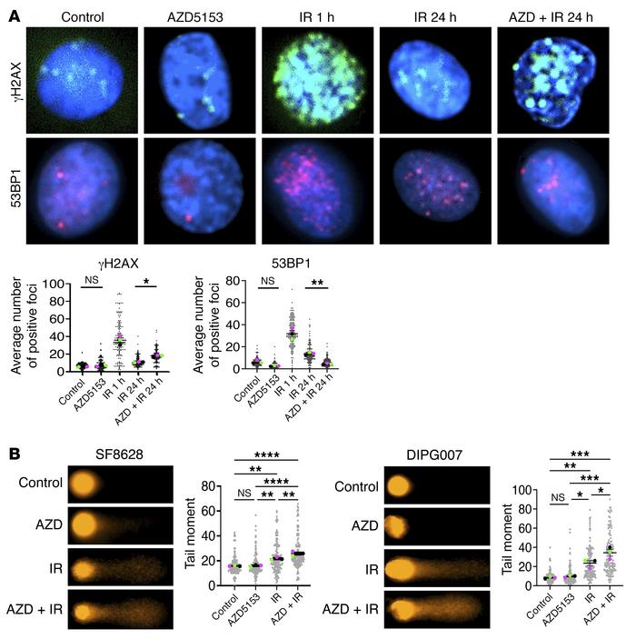 Xe Đạp Điện Xmen Neo – Cổng Đầu Tư Trực Tiếp, Đẳng Cấp Vượt Trội Trong Thế Giới Cá Cược Trực Tuyến