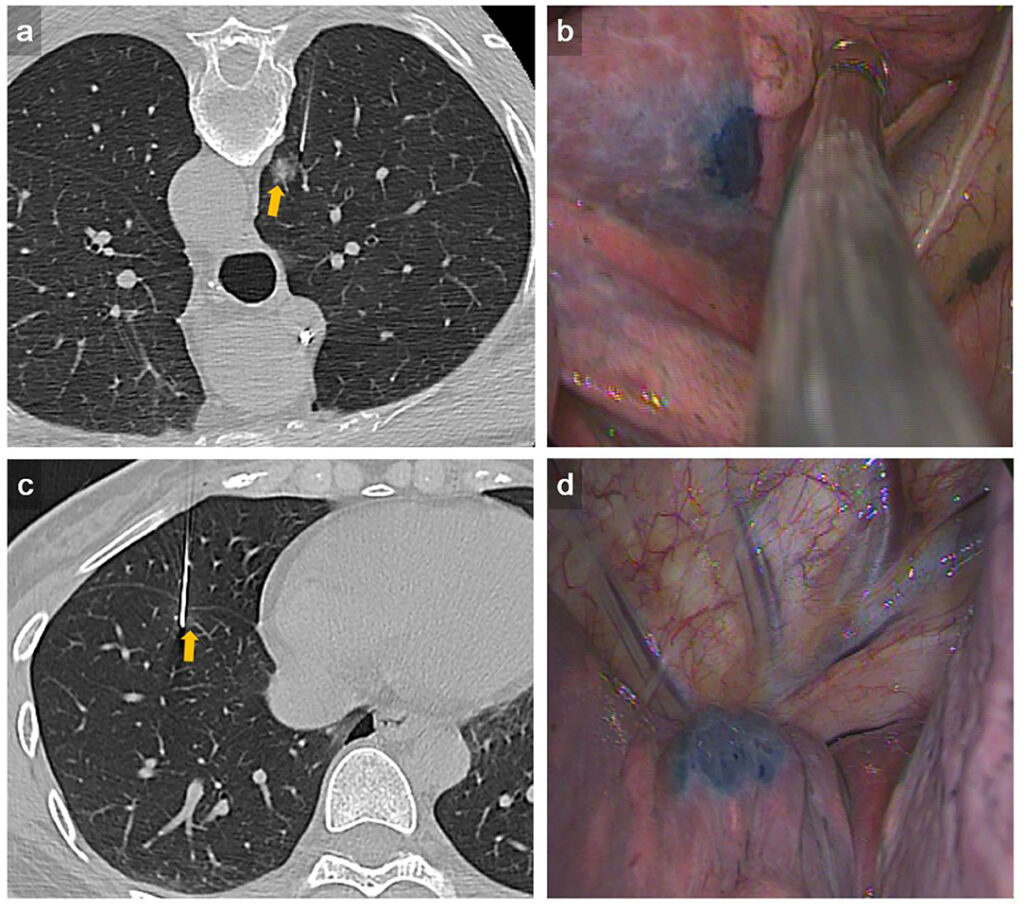 Review Mù Cang Chải Khám Phá Thế Giới Giải Trí Đỉnh Cao